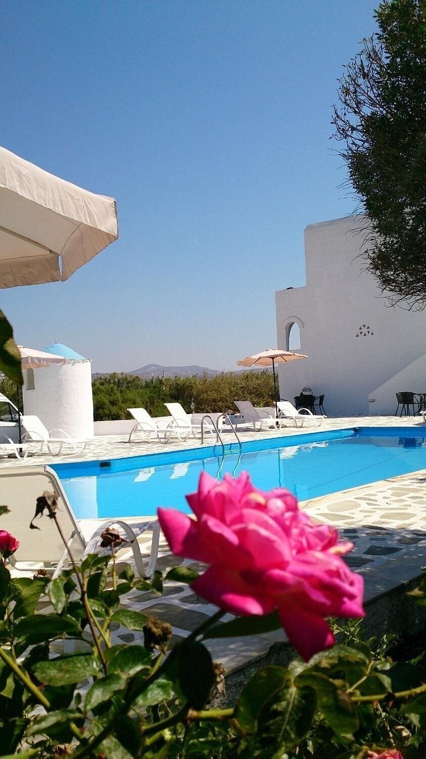 Фотографія Naxos Sun Studios 3*